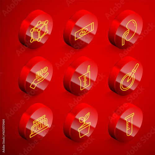 Set line Molecule, Blood test and virus, Human kidney, Bio healthy food, Laboratory glassware or beaker, Petri dish with pipette, Test tube flask and Plant in pot icon. Vector