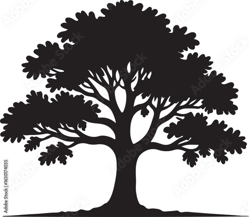 Silhouette of a deciduous tree with a broad crown and visible branches on a white background	