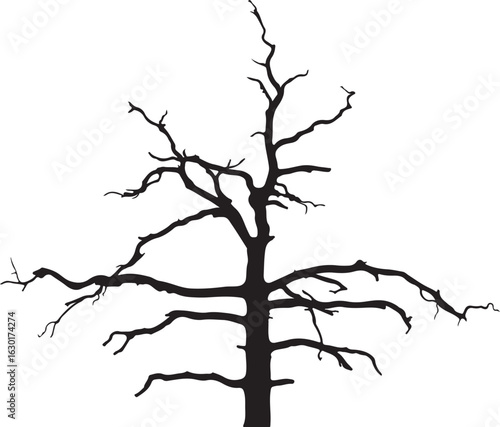 Stunning bare tree showcasing intricate branching patterns against a white background	