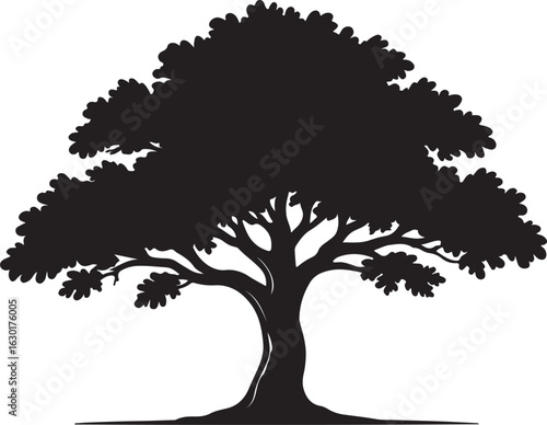 A Majestic Silhouette of a Large Tree with Full Foliage and Thick Trunk	
