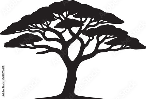 Silhouette of a large acacia tree with sprawling branches and a full canopy against a white background	