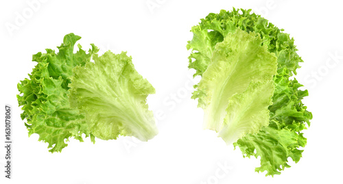 lettuce leaves, isolated on transparent background