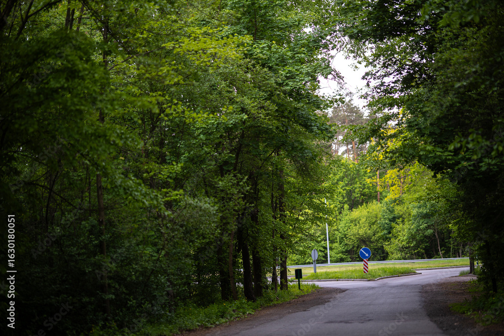 Fototapeta premium A narrow asphalt road emerges from a dense green forest to meet a highway ramp. Road signs are visible on the side of the larger road in the background.