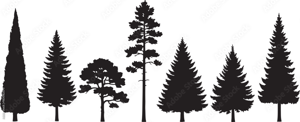 Fototapeta premium Assortment of evergreen tree silhouettes on white background, tree, silhouette, trees, evergreen, pine, fir, cypress, nature, forest, wood, woodland, plant, plants, outdoor, outdoors, landscape, scene