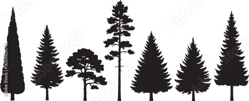 Assortment of evergreen tree silhouettes on white background, tree, silhouette, trees, evergreen, pine, fir, cypress, nature, forest, wood, woodland, plant, plants, outdoor, outdoors, landscape, scene