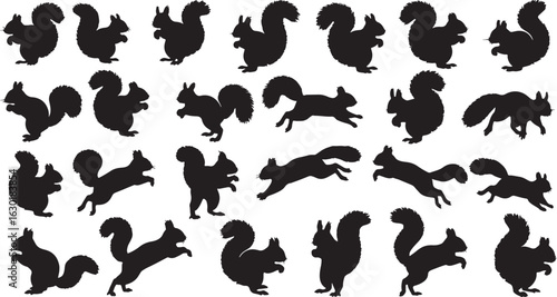 Collection of Squirrel Silhouettes in Various Poses, squirrel, silhouette, animal, wildlife, nature, rodent, bushy tail, jumping, running, sitting, standing, leaping, playful, cute, graphic, illustrat