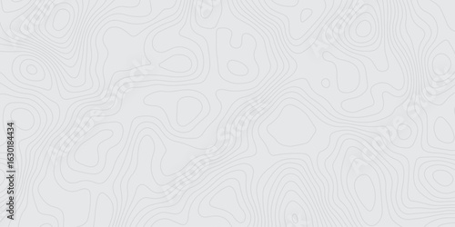 "Abstract light gray topographic contour map background. Smooth elevation lines create a modern, minimal texture ideal for mapping, presentations, or geoscience-themed design projects"