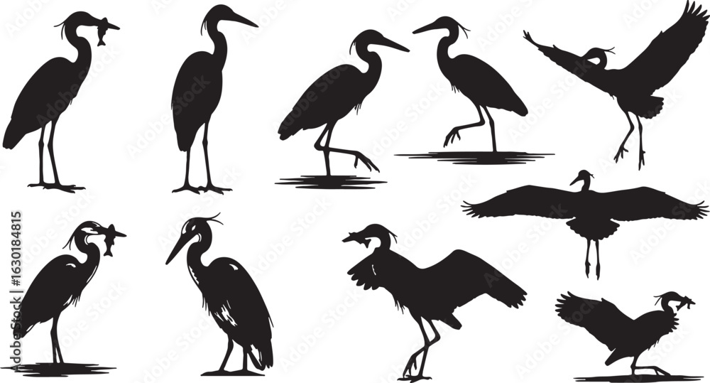 Obraz premium Heron bird silhouettes in various poses with fish wildlife, heron, bird, silhouette, wildlife, nature, animal, flying, standing, fishing, catching fish, fish, wings spread, wading, graceful, elegant,