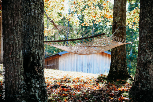 Fall foliage in the mountains