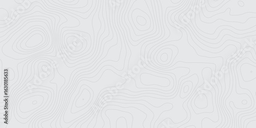 "Minimalistic light gray topographic map background with contour lines. Abstract elevation pattern ideal for geolocation themes, maps, infographics, or modern design textures"
