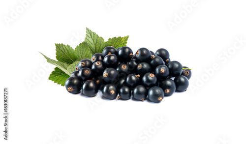 Blackcurrant branch isolated on white background. Currant sprig on white. Black currant isolated on white background. Ripe and tasty currant.