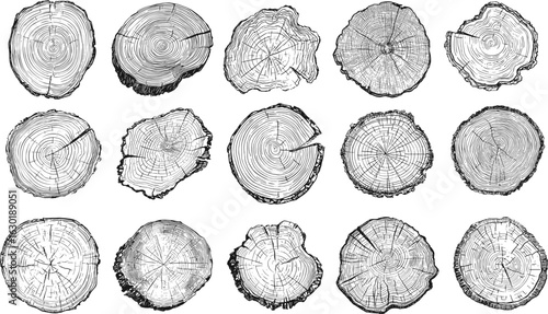 Circle wood texture with annual rings. Tree trunk cut abstract vector pattern