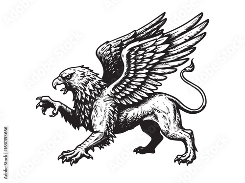 Engraved mythical griffin in roaring stance with intricate line details and classic proportions.eps