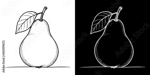 Isolated vector image of a pear in two design variants on transparent and black background, pencil drawing, chalk drawing  