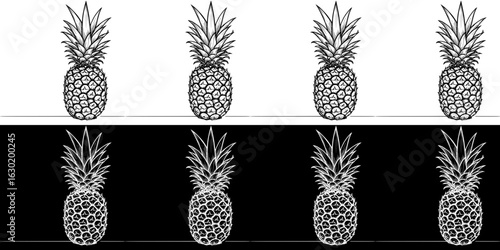 Isolated vector image of pineapple, two design variants on transparent and black background, pencil drawing, chalk drawing
