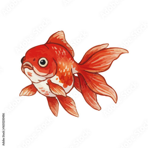 Watercolor goldfish illustration