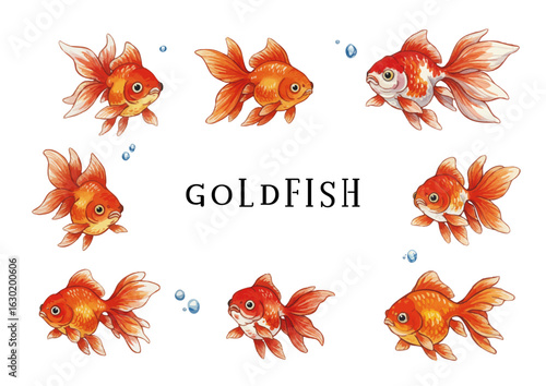 Watercolor goldfish illustration