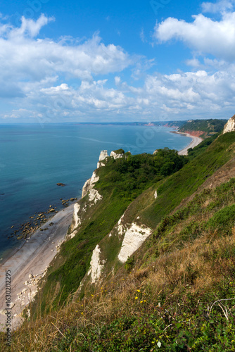 Wallpaper Mural View towards Dusncombe Cliff, near Sidmouth, Devon, England Torontodigital.ca