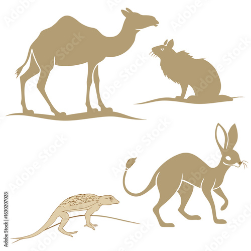 kangaroo vector illustration