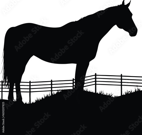 Brown horses and foals graze in a grassy field on a farm