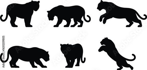 Adobe Illustrator Artwork