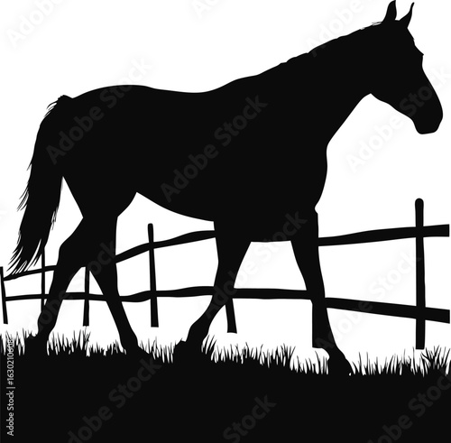 Vector silhouette illustration of a cute cartoon horse and foal with a black stallion and mare