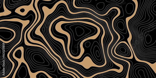 abstract topographic map on a black background with beige areas defined by white contour lines showing elevation and terrain detail