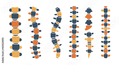 Set of vector illustrations of human spine in different positions  