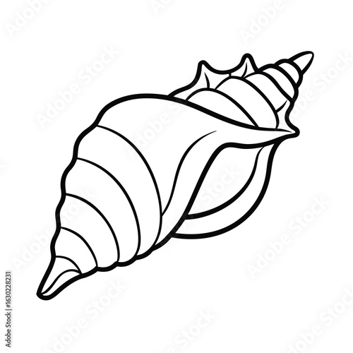 conch shell line art on white background