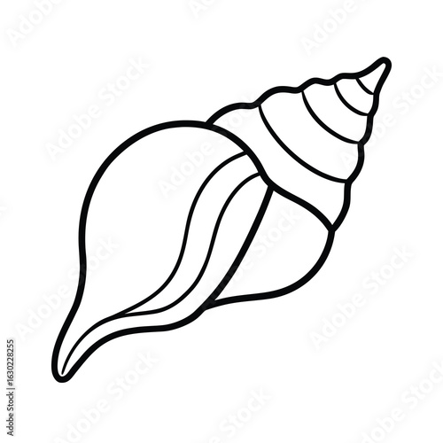 conch shell line art on white background