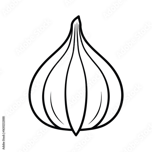 fresh garlic bulb outline on white background