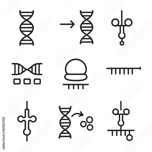 Molecular Genetics Icons. Outline icon set of molecular genetics: RNA strand, transcription, translation, protein synthesis, codon