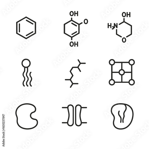 Molecular Structure Icons. Outline icon set of molecular structures: benzene ring, glucose, amino acid, nucleotide, lipid, polymer