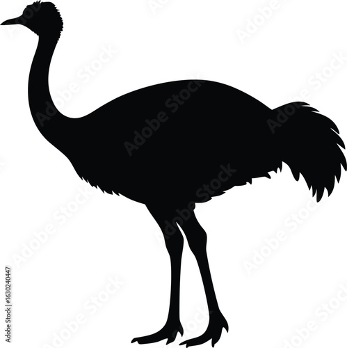 emu bird silhouette vector icon