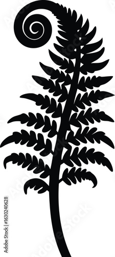 fiddle head fern silhouette