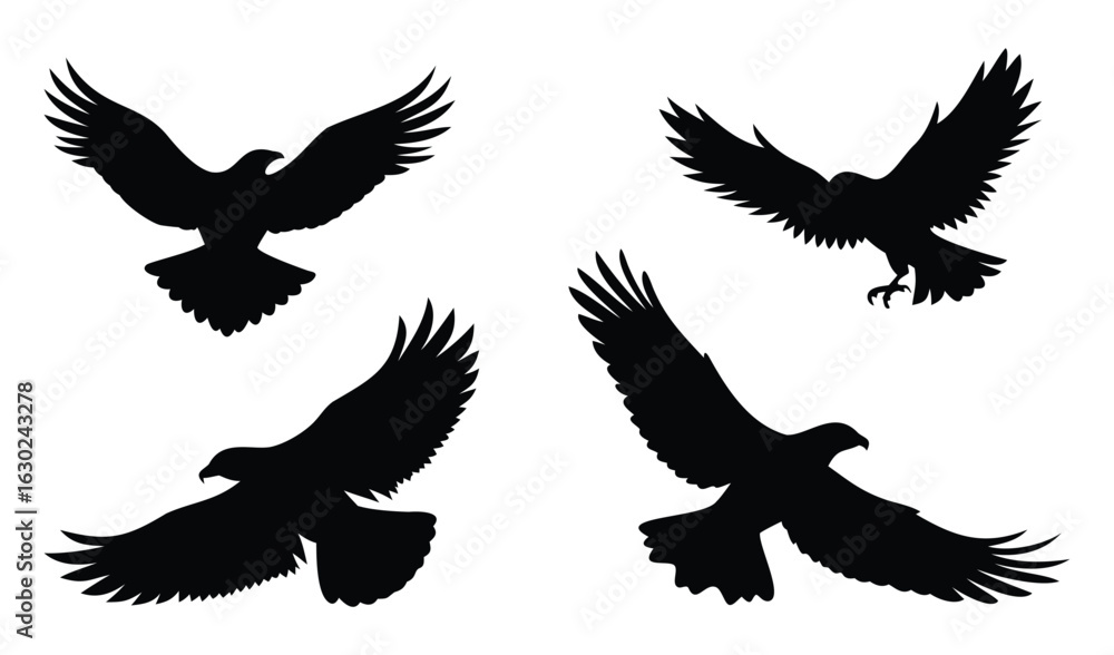 Obraz premium Flying Bird Silhouettes with Spread Wings