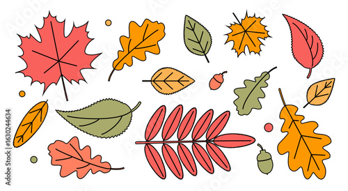 Hand drawn autumn leaves. Set of cute fallen oak, rowan leaves. Colorful autumn elements for background, banner, textile, paper, packaging, wallpaper