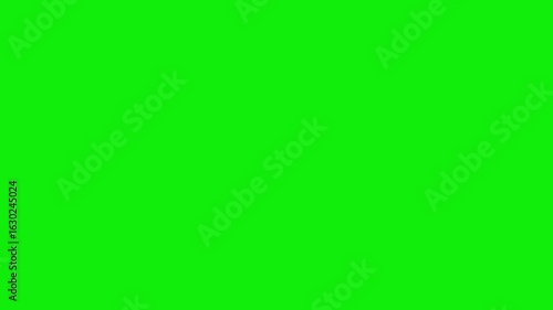 Video animation of dollar sign white color. On a green screen chroma key background
