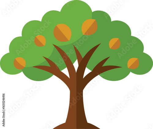 High-quality hazelnut tree isolated on white background, natural hazelnut branch with leaves, perfect for nature, gardening, agriculture, and botanical designs, free stock photo for commercial use.