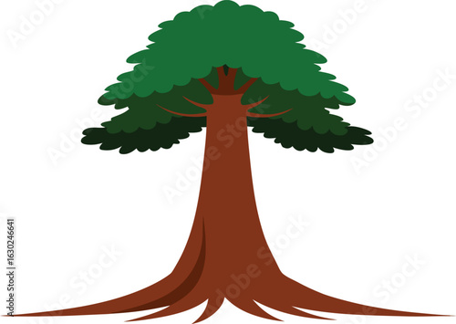 Giant sequoia tree isolated on white background, massive redwood forest giant, tall conifer nature, detailed bark texture, majestic giant sequoia tree photography, nature stock image