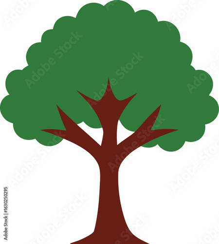 Boxelder tree isolated on white background, detailed boxelder leaves and branches, natural tree close-up, high-resolution nature photo for design, gardening, landscaping, environment use