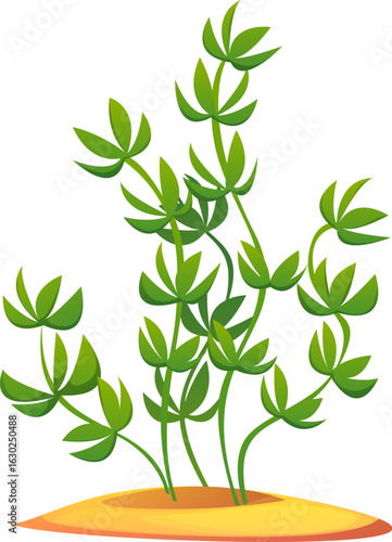 Sea and ocean coral reef underwater cartoon seaweed algae. Tropical sea isolated vector water algae, aquarium plant with green leaves. Coral reef underwater seaweed or ocean undersea aquatic flora
