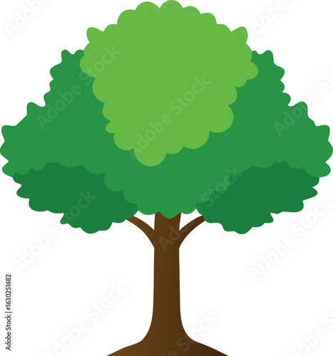 American linden tree isolated on white background, close-up of green leaves and branches, natural foliage, high resolution, botanical image, nature photography, seasonal plant, tree detail photo