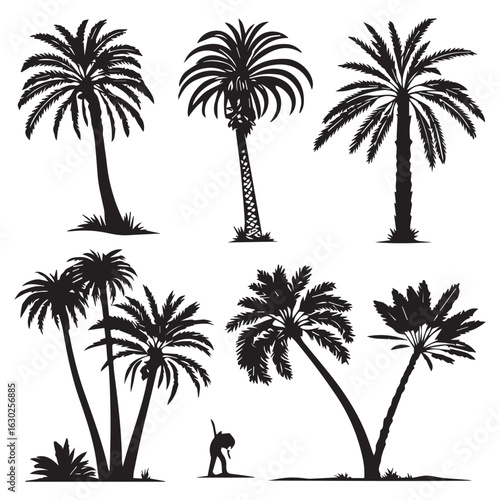 Collection of silhouetted palm trees in various shapes and sizes against a white background for tropical design