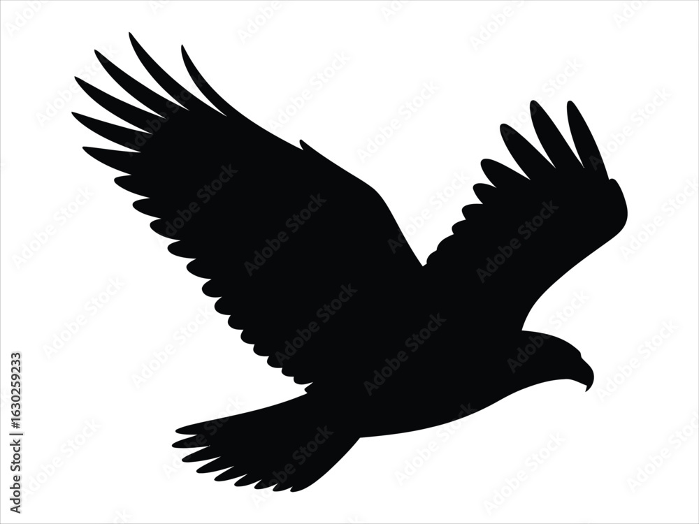 Obraz premium A black silhouette of a flying eagle or hawk, depicted as a powerful vector icon isolated on a white background.