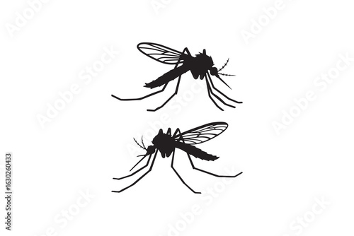 Mosquito Silhouette Vector Design Black Mosquito Insect Silhouette Art