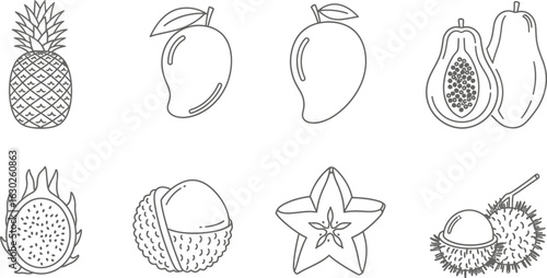 Exotic tropical fruit icons, featuring mango, pineapple, dragon fruit, star fruit, papaya, lychee, and durian, offering a healthy and sweet taste of the tropics