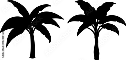 Black banana tree silhouette set, Set of banana trees, banana tree collections, Vector of banana trees, banana trees silhouette, banana trees isolated on white background