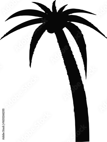 palm tree silhouette