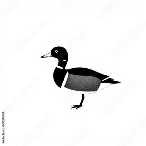 Northern Pintail Animal Icon